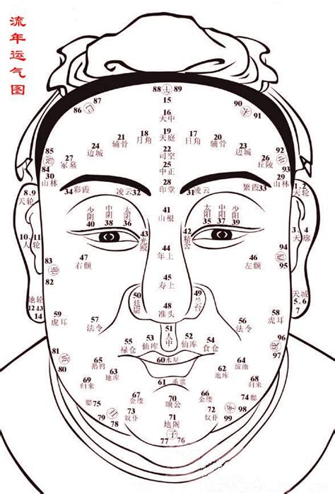 面相流年部位|1到100歲，面相流年氣運圖教你如何看自己的面相